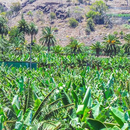 El Refugio Los Portales أروكاس المظهر الخارجي الصورة
