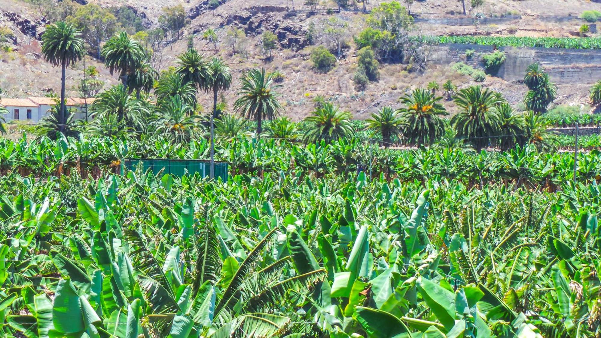 El Refugio Los Portales أروكاس المظهر الخارجي الصورة